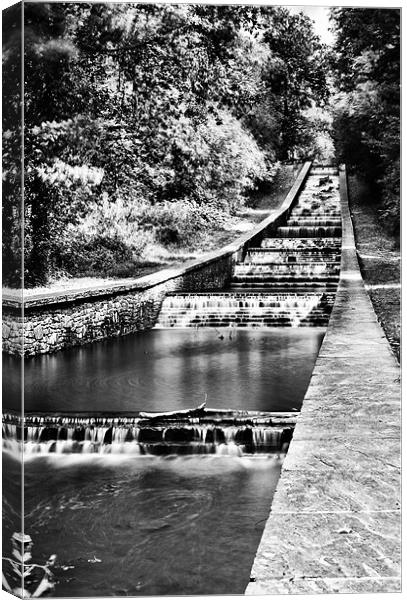 Gnoll Estate Country Park 4 Mono Canvas Print by Steve Purnell