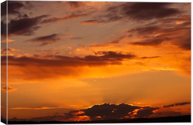 Yorkshire Gold Canvas Print by John Ellis