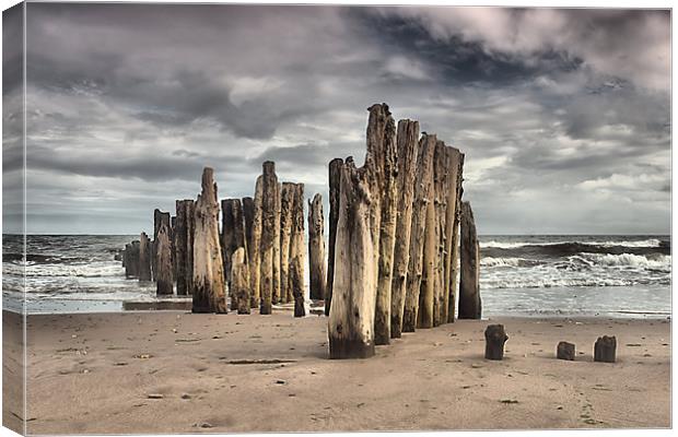 Wooden Posts Canvas Print by kevin wise