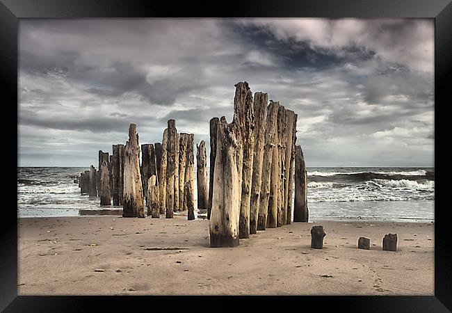 Wooden Posts Framed Print by kevin wise