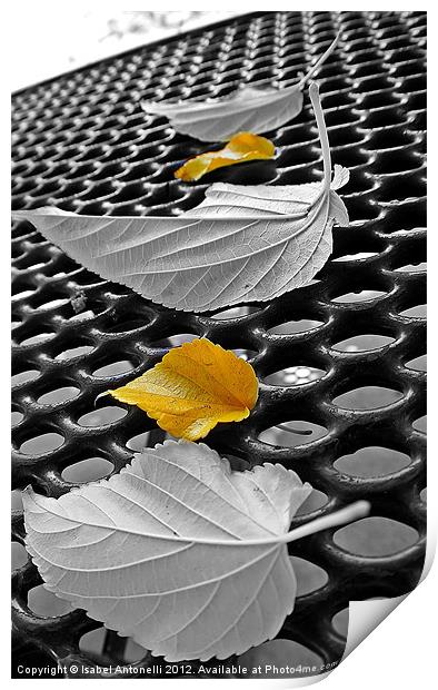 Yellow Tree Leaves Print by Isabel Antonelli