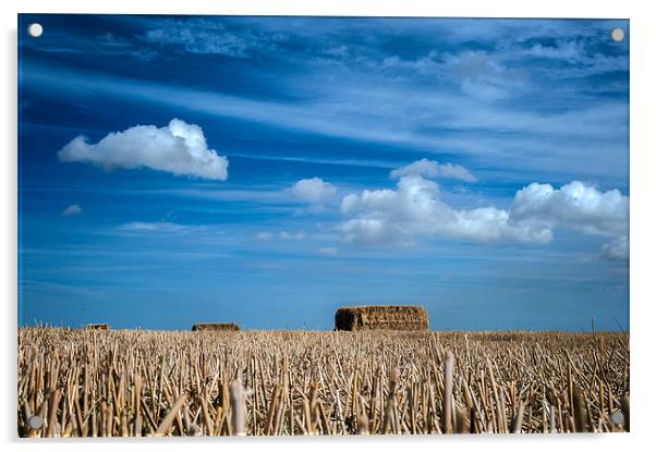 Ground level straw bales Acrylic by Stephen Mole