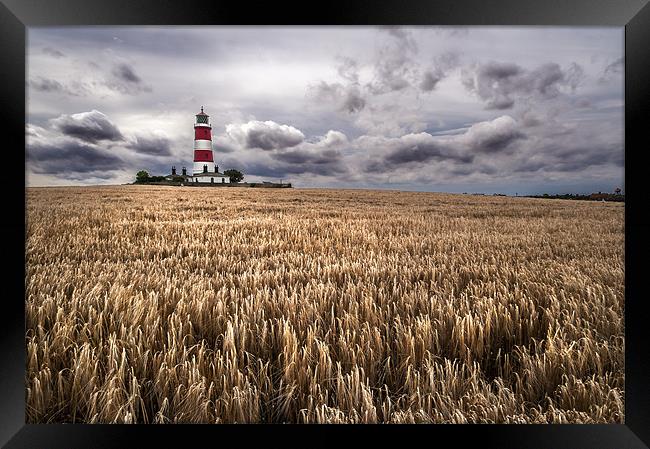 Happisburgh Lighthouse at harvest time Framed Print by Stephen Mole