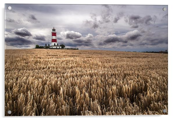 Happisburgh Lighthouse at harvest time Acrylic by Stephen Mole