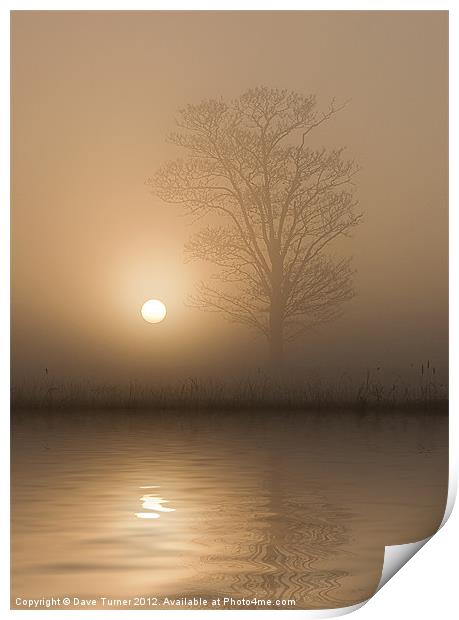 Tranquility Print by Dave Turner