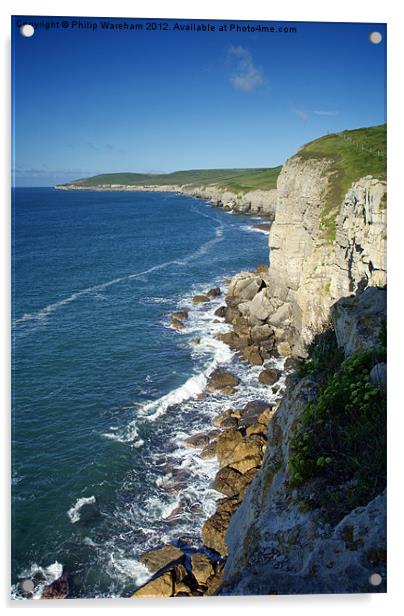 Clifftop Perch Acrylic by Phil Wareham