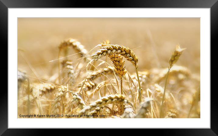 Golden Wheat Framed Mounted Print by Karen Martin
