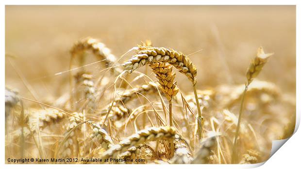 Golden Wheat Print by Karen Martin
