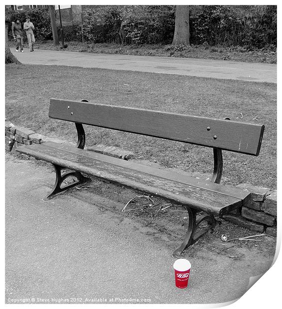 Abandoned in the park Print by Steve Hughes