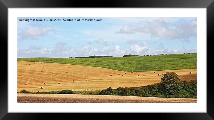Rural Dorset Framed Mounted Print by Nicola Clark
