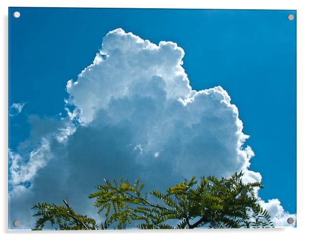 Blue Sky Convection Acrylic by Sam Jowett