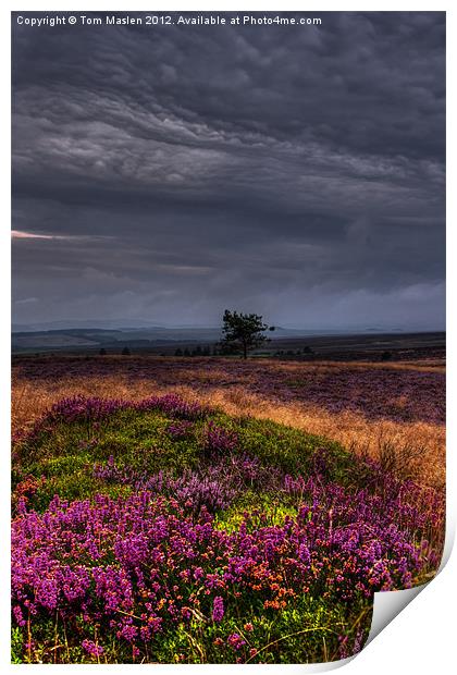 Rolling In Print by Tom Maslen