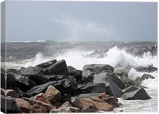 Pounded Jetty's Canvas Print by Susan Medeiros