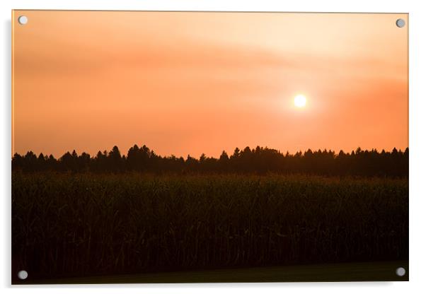 Hazy summer sunset Acrylic by Ian Middleton