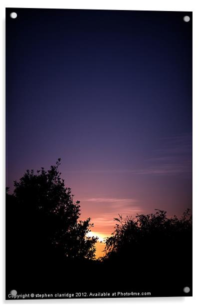 Sunset through the bushes Acrylic by stephen clarridge