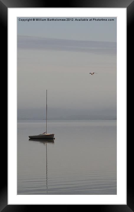 Sailboat & Seagull Framed Mounted Print by Beach Bum Pics