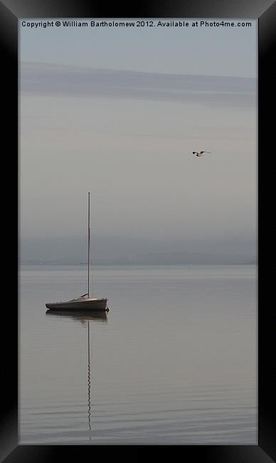 Sailboat & Seagull Framed Print by Beach Bum Pics