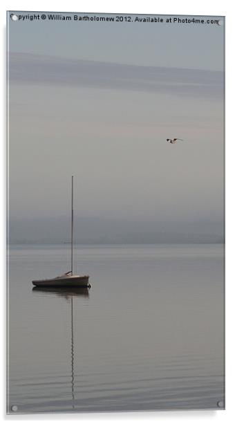 Sailboat & Seagull Acrylic by Beach Bum Pics