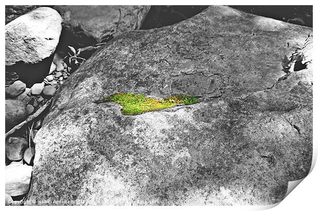 rock with moss partial coloring Print by Isabel Antonelli