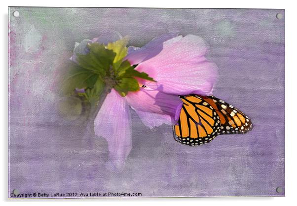 Sunlit Monarch Butterfly Acrylic by Betty LaRue