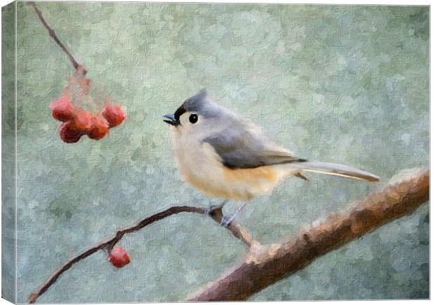 Tufted Titmouse Canvas Print by Betty LaRue