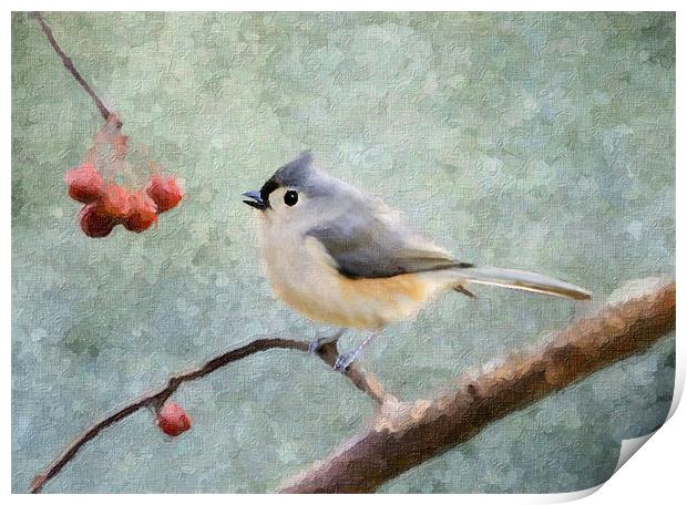 Tufted Titmouse Print by Betty LaRue