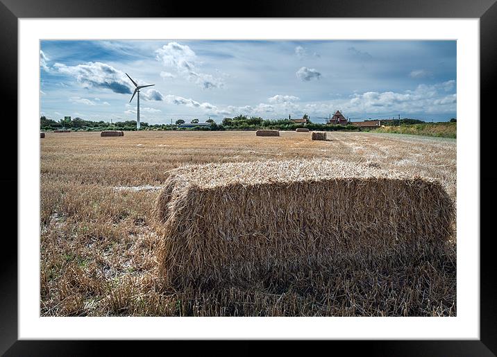 Straw Power Framed Mounted Print by Stephen Mole