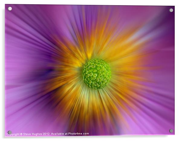 Planet Anemone Acrylic by Steve Hughes