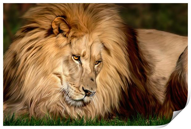 Cameron the Lion Print by Big Cat Rescue