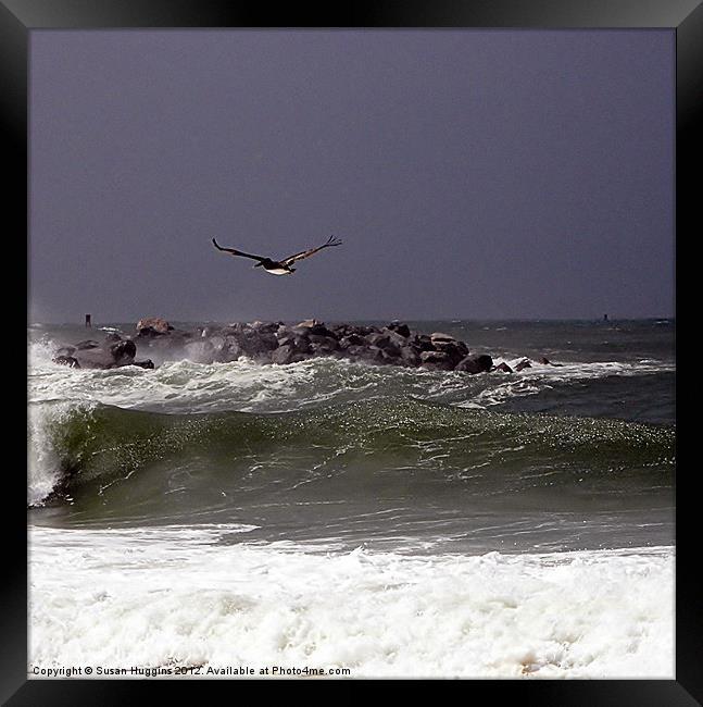 Stuck in Motion Framed Print by Susan Medeiros
