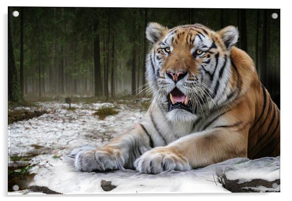 TJ the Tiger Acrylic by Big Cat Rescue