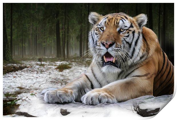 TJ the Tiger Print by Big Cat Rescue