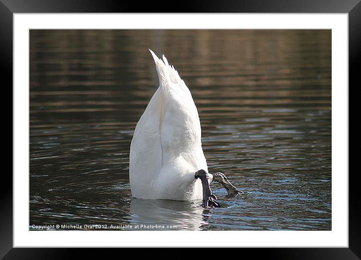 Bottoms Up Framed Mounted Print by Michelle Orai