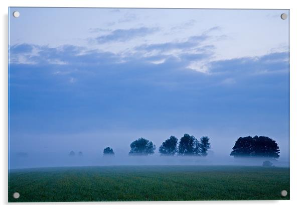 Misty marsh Acrylic by Ian Middleton