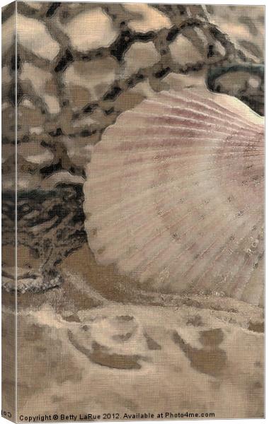 Scallop Sea Shell Canvas Print by Betty LaRue
