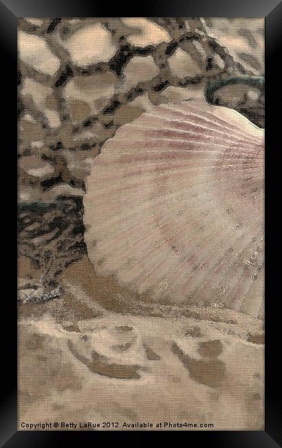 Scallop Sea Shell Framed Print by Betty LaRue