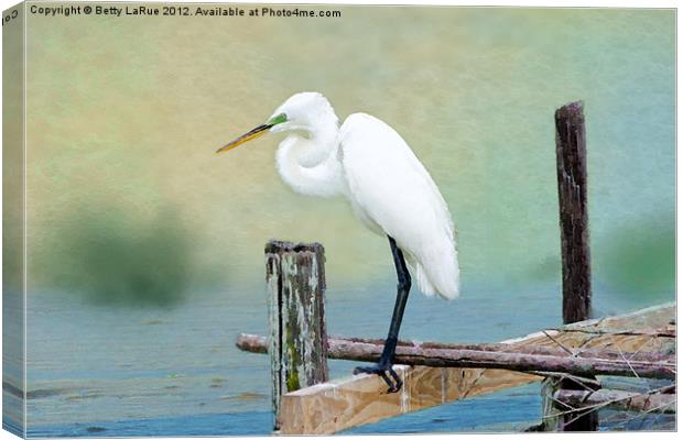 The Lookout Canvas Print by Betty LaRue