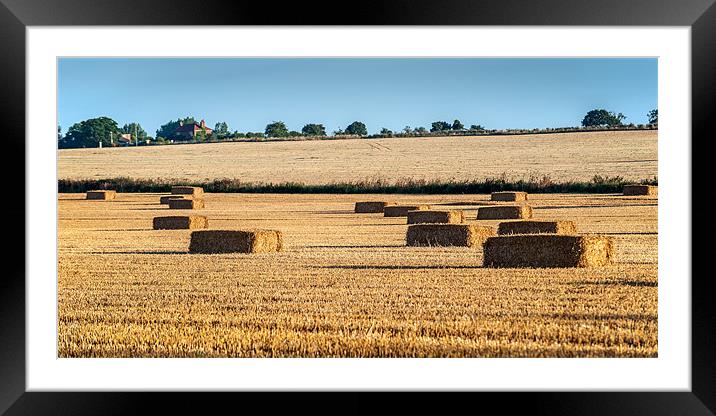 Square bales of Straw Framed Mounted Print by Stephen Mole
