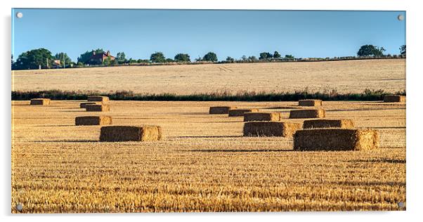 Square bales of Straw Acrylic by Stephen Mole