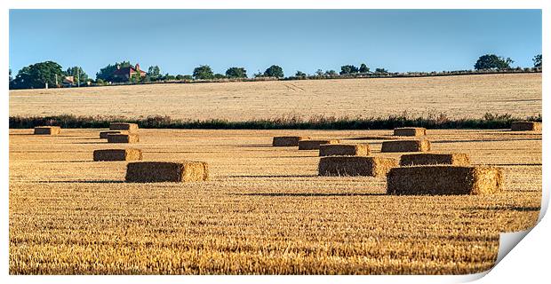 Square bales of Straw Print by Stephen Mole