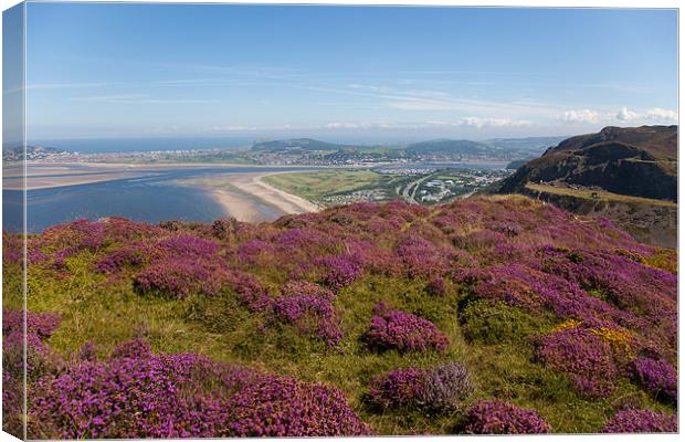 Views from Conwy Mountain Canvas Print by Gail Johnson
