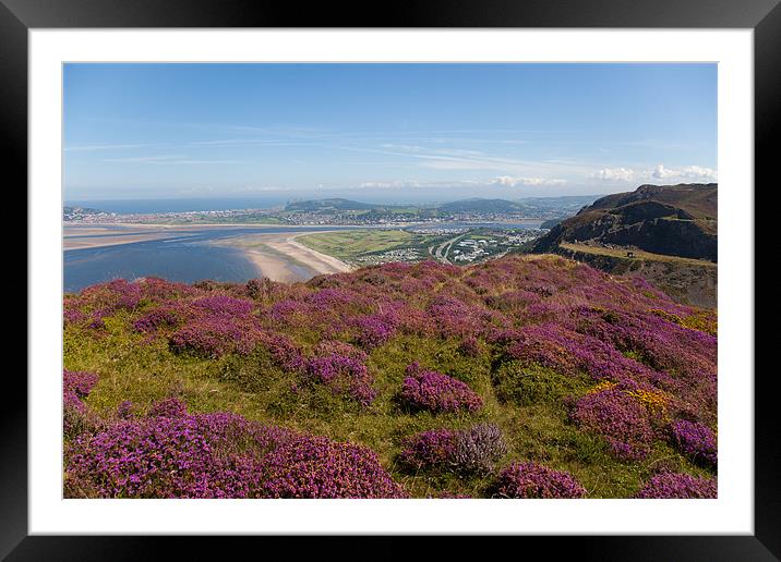Views from Conwy Mountain Framed Mounted Print by Gail Johnson