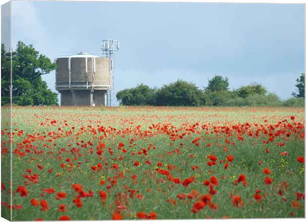 Poppy Field Canvas Print by Noreen Linale