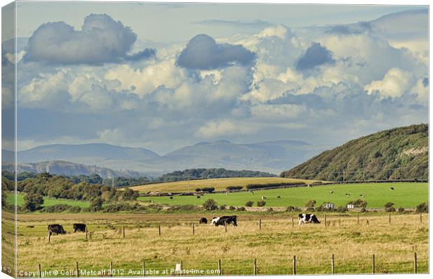 Rural Landscape Canvas Print by Colin Metcalf