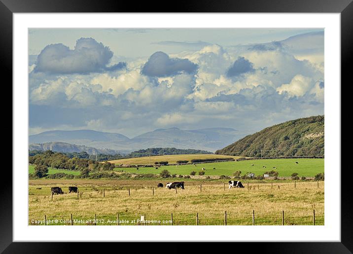 Rural Landscape Framed Mounted Print by Colin Metcalf