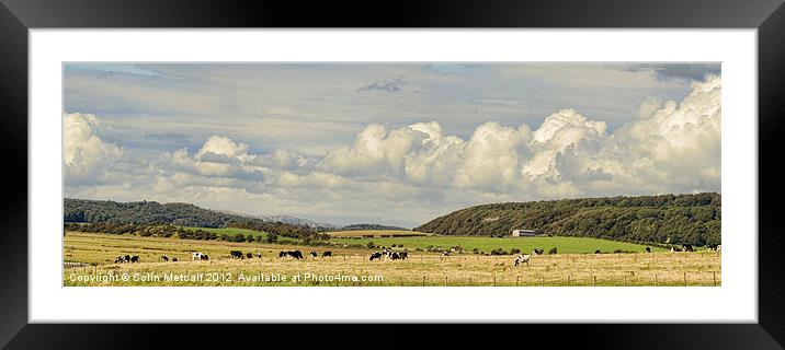 Rural Landscape Panorama Framed Mounted Print by Colin Metcalf