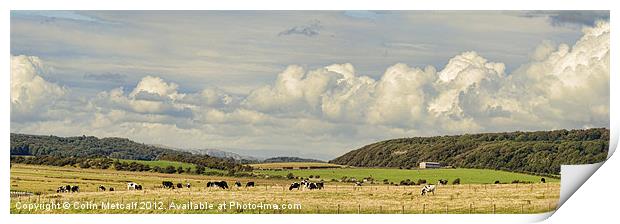 Rural Landscape Panorama Print by Colin Metcalf