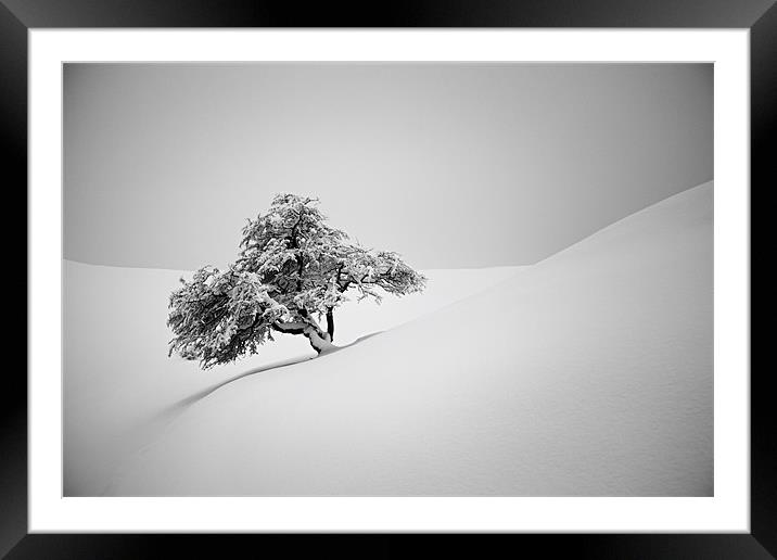 Alone in snow Framed Mounted Print by Cristian Mihaila