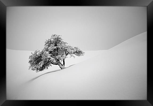 Alone in snow Framed Print by Cristian Mihaila