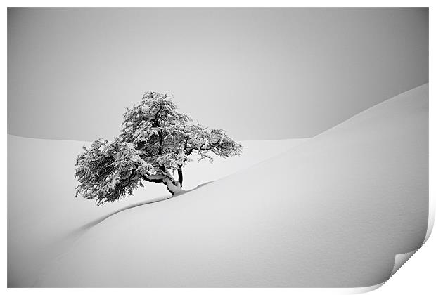 Alone in snow Print by Cristian Mihaila